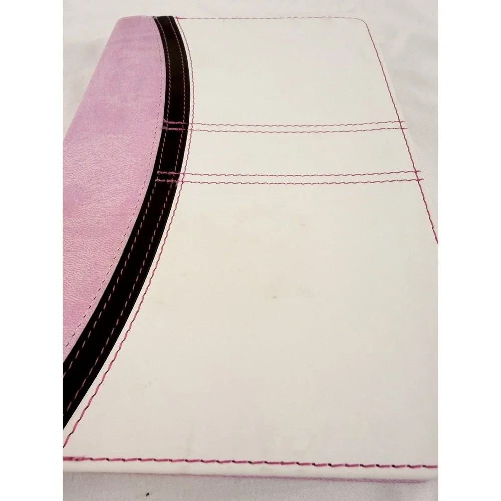 KJV Giant Print Reference Bible Pink Holman Hand Size King James Version